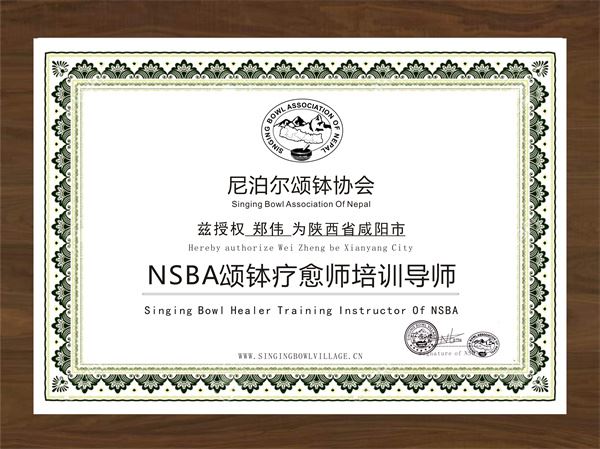 陕西省咸阳分院